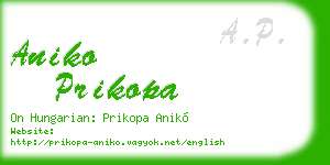 aniko prikopa business card
